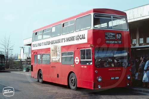 Bus photo london - photo, transport
