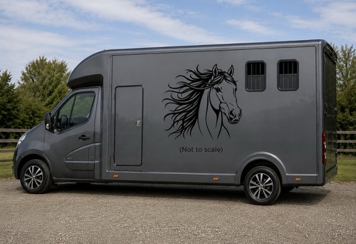 Horse box vinyl - 1, x