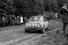 Will sparrow Nigel Raeburn