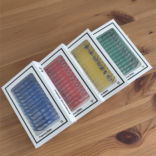 Microscope prepared slides - prepared,