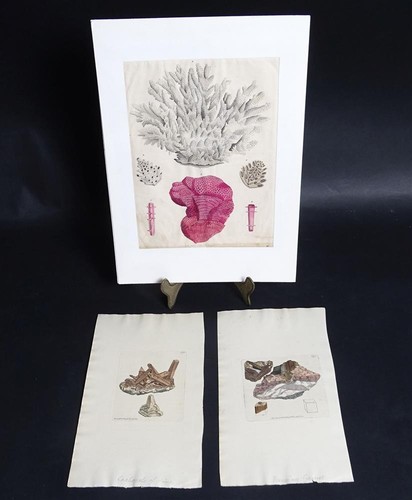 Antique prints lithographs - 3,