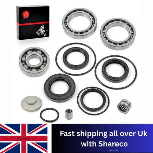 Rear differential bearing - rear,