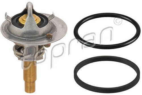 Topran 401 919 - 919, thermostat