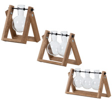 Bulb Vases with Wooden Stand