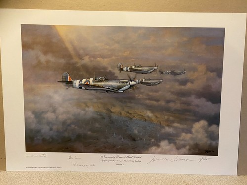 Squadron aviation art print - 56,