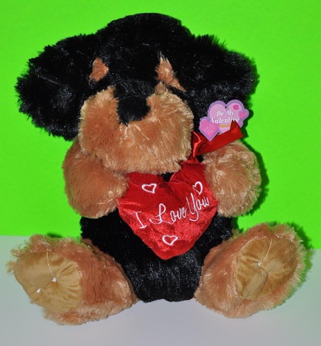 Teddy bear dog - bear, plush