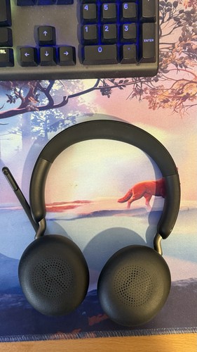 Jabra evolve2 stereo - evolve2, 65