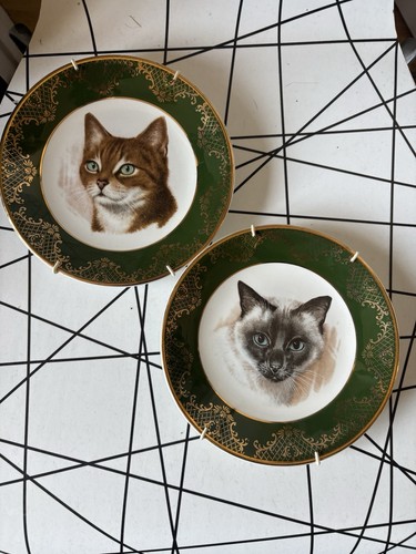 Vintage weatherby cat - cat, wall