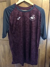 Swansea City FC 2018/19