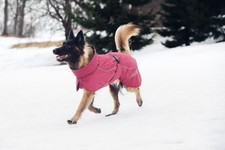 RUKKA PETS Stormy Dog Coat