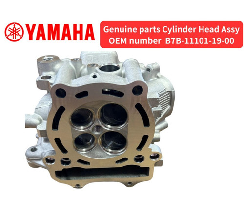 Yamaha oem cylinder head - yamaha,