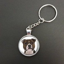 Staffordshire Bull Terrier