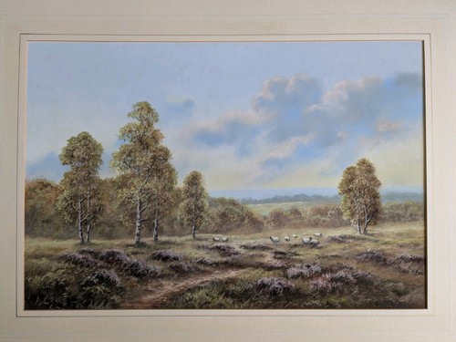 Landscape with sheep in - sheep,