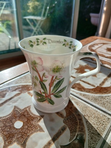 Dunoon mug flower the month - flower,