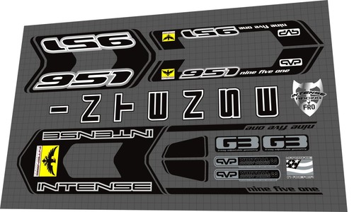 Intense 951 fro black frame - fro,