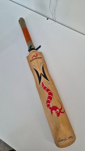 Woodworm the wand - woodworm, ‘the