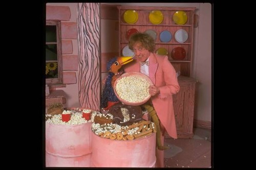 Entertainer rod hull - rod,