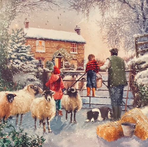 Pack charity christmas - 5,