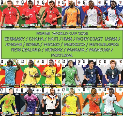 Panini adrenalyn world cup - panini,
