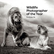 Wildlife Photographer of the