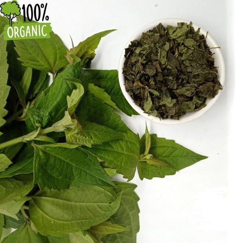 Mexican dream herb dried calea - herb,