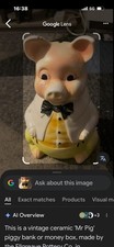 Pig natwest piggy bank - mr,
