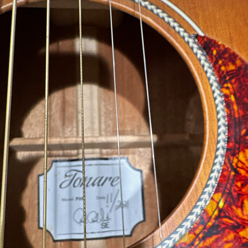 Prs p20 tonare - prs,