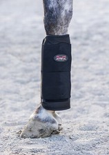 Horse Tendon Magnetic Therapy