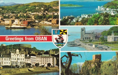 Vintage postcard greetings - postcard,