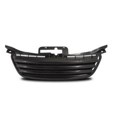 Radiator grille sport grill