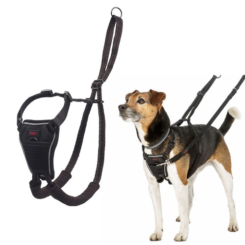 Halti pull harness to - -,