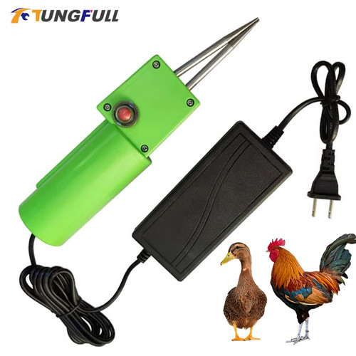 Chicken plucking hair removal - chicken,