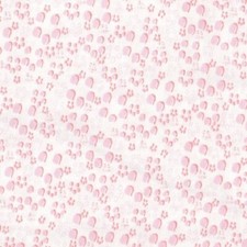 Paddington Bear Pink Prints &
