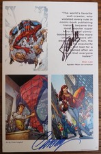 AMAZING SPIDER-MAN PRINT