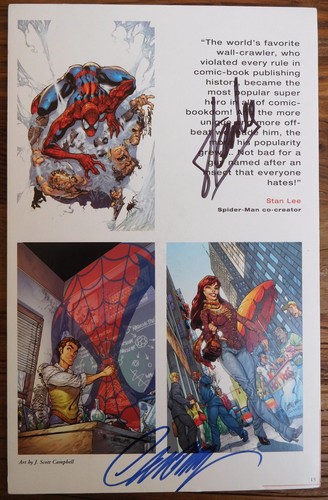 Amazing spider man print - amazing, spider-man