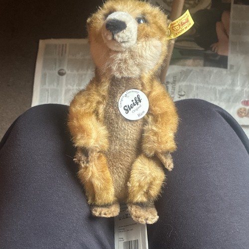 Steiff rico bear - steiff,