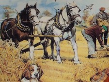 Wedgwood Danbury Mint Shire