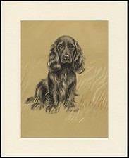 COCKER SPANIEL SEATED DOG