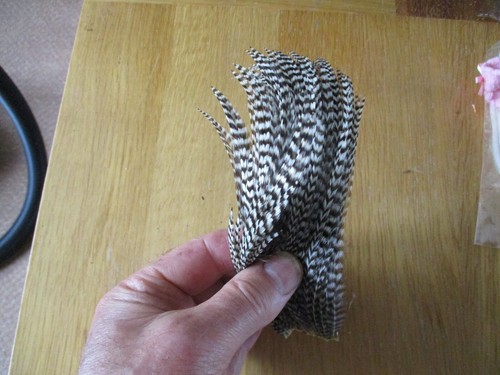 Woolly bugger hackle - hackle, patch