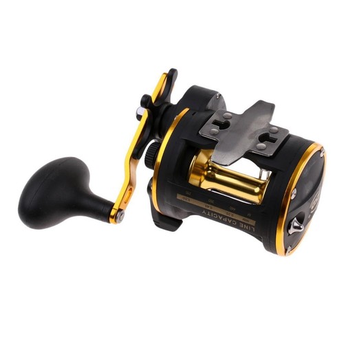Fishing trolling reel - trolling, with