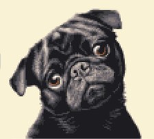BLACK PUG dog - Full counted