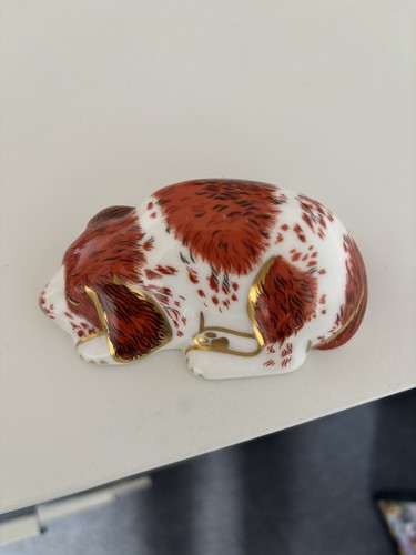 Puppy royal crown derby - crown,