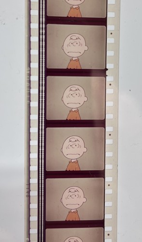 Charlie brown peanuts - charlie, brown.