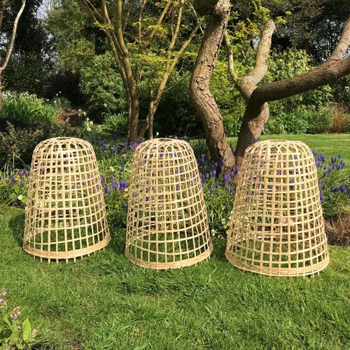 40cm 30cm small bamboo - 40cm,