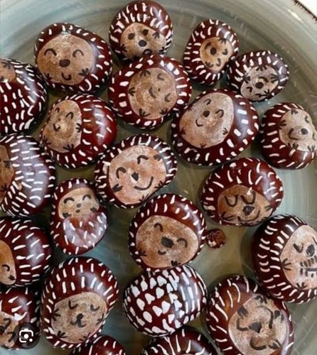 Horse chestnut - horse, (conkers)