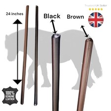 Horse Riding show Cane 100%