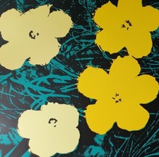 Flowers Poppy Series Sunday