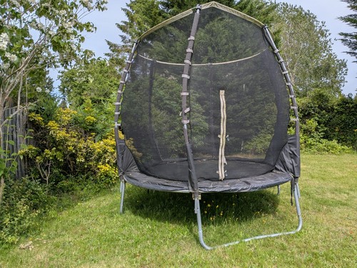 8ft plum magnitude - 8ft,