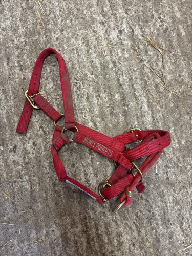 Monty robert headcollar - monty, robert’s