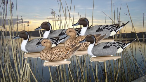Duck decoys set flambeau - duck,